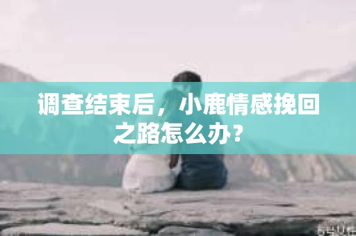 调查结束后，小鹿情感挽回之路怎么办？