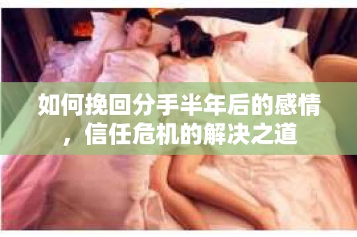 如何挽回分手半年后的感情，信任危机的解决之道