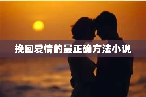 挽回爱情的最正确方法小说