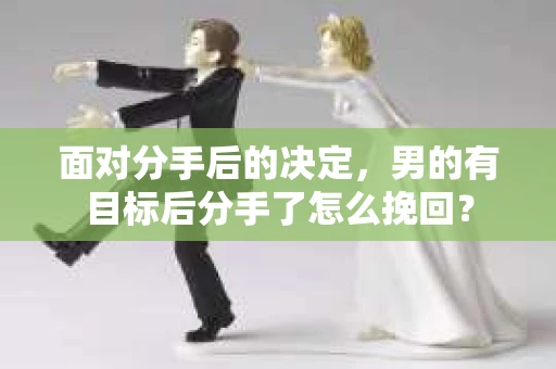 面对分手后的决定，男的有目标后分手了怎么挽回？