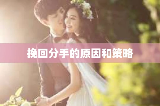 挽回分手的原因和策略