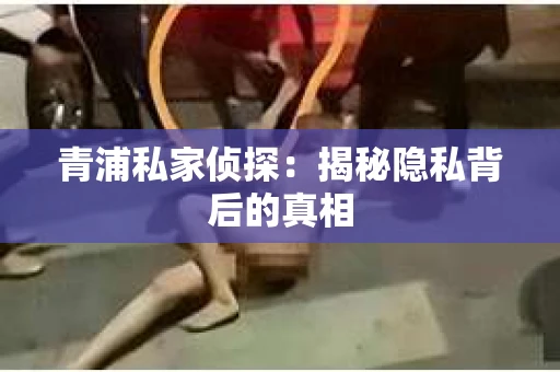 青浦私家侦探：揭秘隐私背后的真相