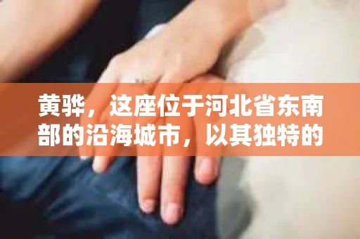 黄骅，这座位于河北省东南部的沿海城市，以其独特的地理位置和丰富的历史文化而闻名。然而，在这座城市中，还有一群人，他们以另一种方式默默守护着社会的公平与正义——私家侦探。今天，我们就来聊聊黄骅的私家侦探，看看他们是如何在这个城市中发挥作用的。