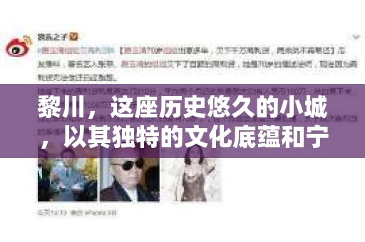 黎川，这座历史悠久的小城，以其独特的文化底蕴和宁静的生活节奏吸引着无数游客。然而，在这样一个看似平静的城市里，你是否会好奇，有没有私家侦探机构的存在呢？今天，就让我带你一探究竟。