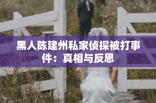 黑人陈建州私家侦探被打事件：真相与反思