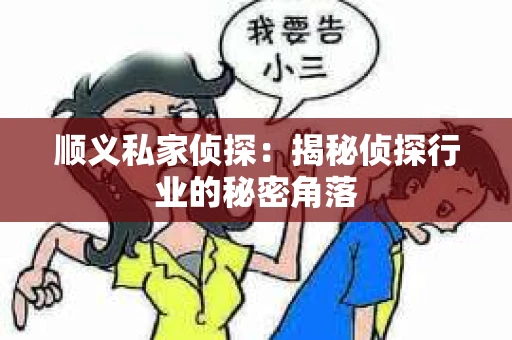 顺义私家侦探：揭秘侦探行业的秘密角落