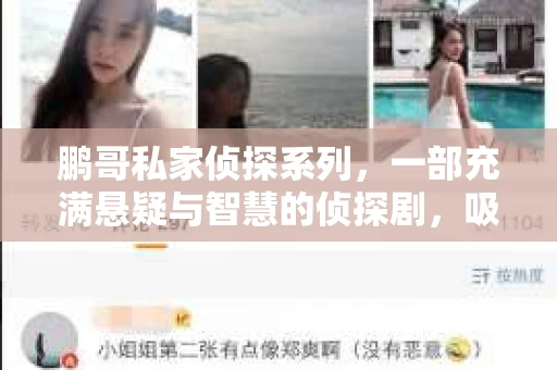 鹏哥私家侦探系列，一部充满悬疑与智慧的侦探剧，吸引了无数观众的眼球。今天，就让我带你走进这个充满神秘色彩的侦探世界，一起在线观看鹏哥私家侦探系列，感受那扣人心弦的故事情节。