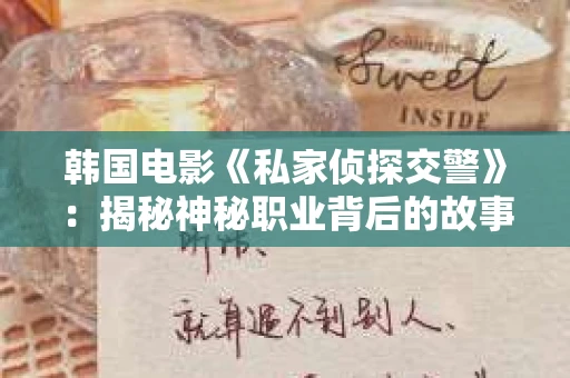 韩国电影《私家侦探交警》：揭秘神秘职业背后的故事