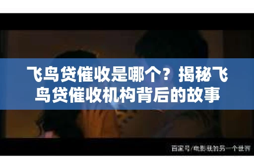飞鸟贷催收是哪个？揭秘飞鸟贷催收机构背后的故事