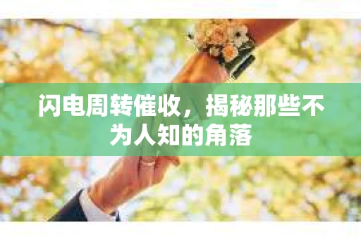 闪电周转催收，揭秘那些不为人知的角落