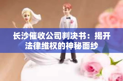 长沙催收公司判决书：揭开法律维权的神秘面纱