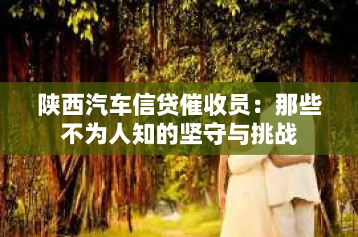 陕西汽车信贷催收员：那些不为人知的坚守与挑战