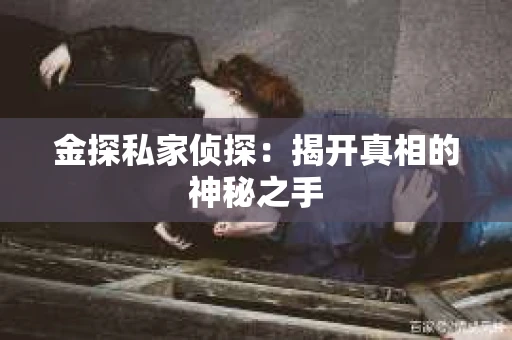 金探私家侦探：揭开真相的神秘之手
