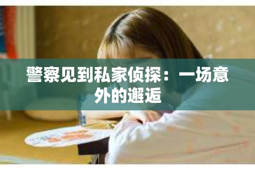 警察见到私家侦探：一场意外的邂逅
