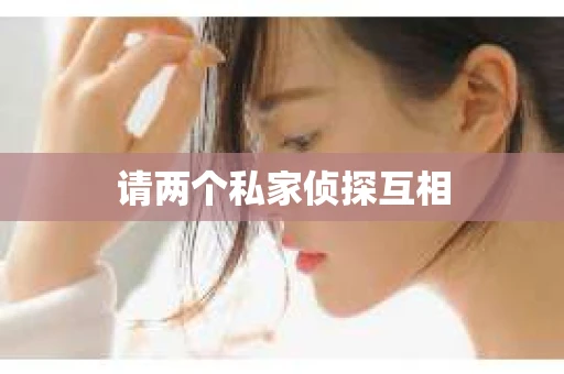请两个私家侦探互相 请两个私家侦探互相