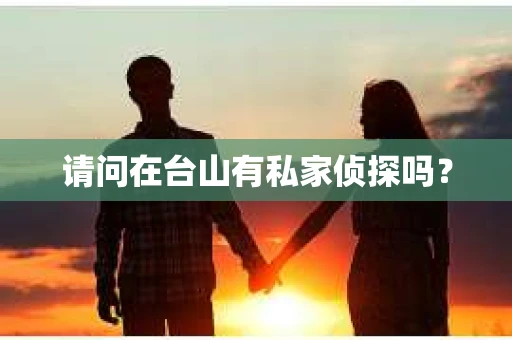 请问在台山有私家侦探吗？
