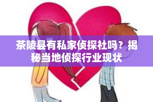茶陵县有私家侦探社吗？揭秘当地侦探行业现状