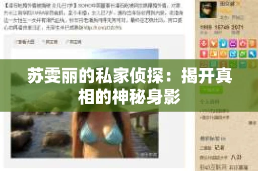 苏雯丽的私家侦探：揭开真相的神秘身影