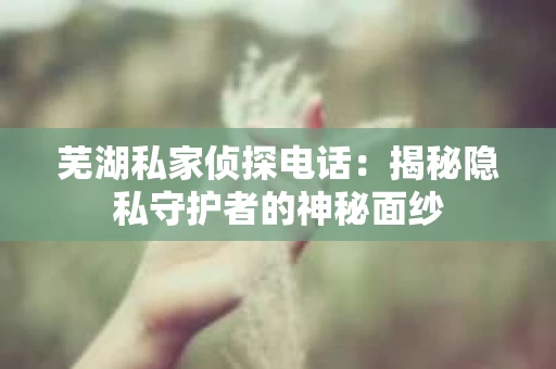 芜湖私家侦探电话：揭秘隐私守护者的神秘面纱