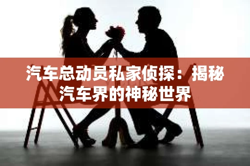 汽车总动员私家侦探：揭秘汽车界的神秘世界
