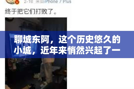 聊城东阿，这个历史悠久的小城，近年来悄然兴起了一股新的服务潮流——私家侦探。今天，我们就来聊聊这个话题，看看在聊城东阿，私家侦探是如何成为人们生活中的一部分的。
