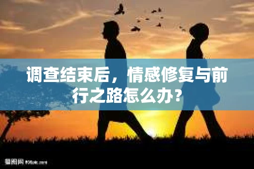 调查结束后，情感修复与前行之路怎么办？