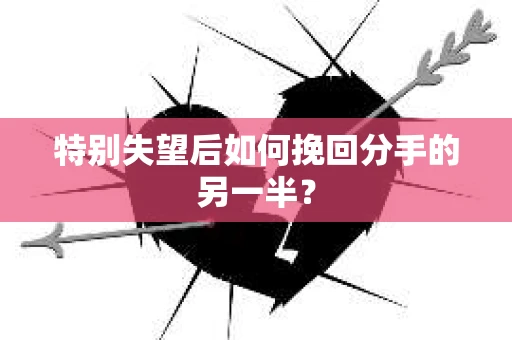 特别失望后如何挽回分手的另一半？