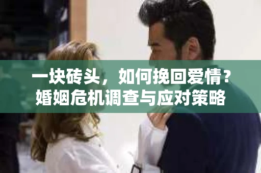 一块砖头，如何挽回爱情？婚姻危机调查与应对策略