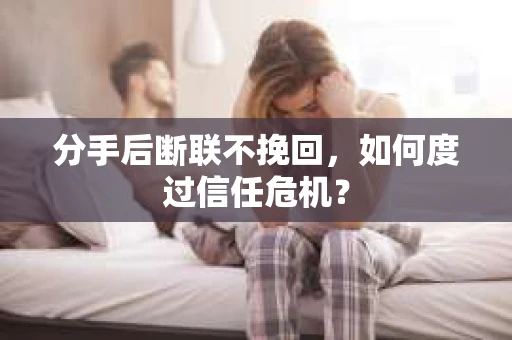 分手后断联不挽回，如何度过信任危机？