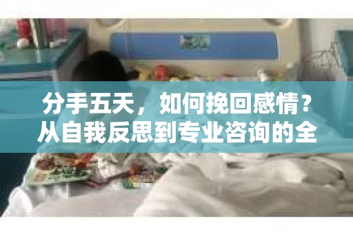分手五天，如何挽回感情？从自我反思到专业咨询的全面解决方案
