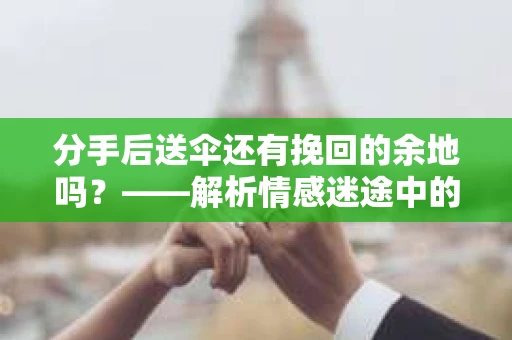 分手后送伞还有挽回的余地吗？——解析情感迷途中的决策