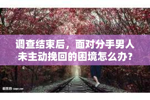 调查结束后，面对分手男人未主动挽回的困境怎么办？